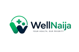 WellNaija Logo